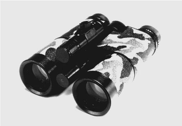 Baigish 12 night vision binoculars cheap